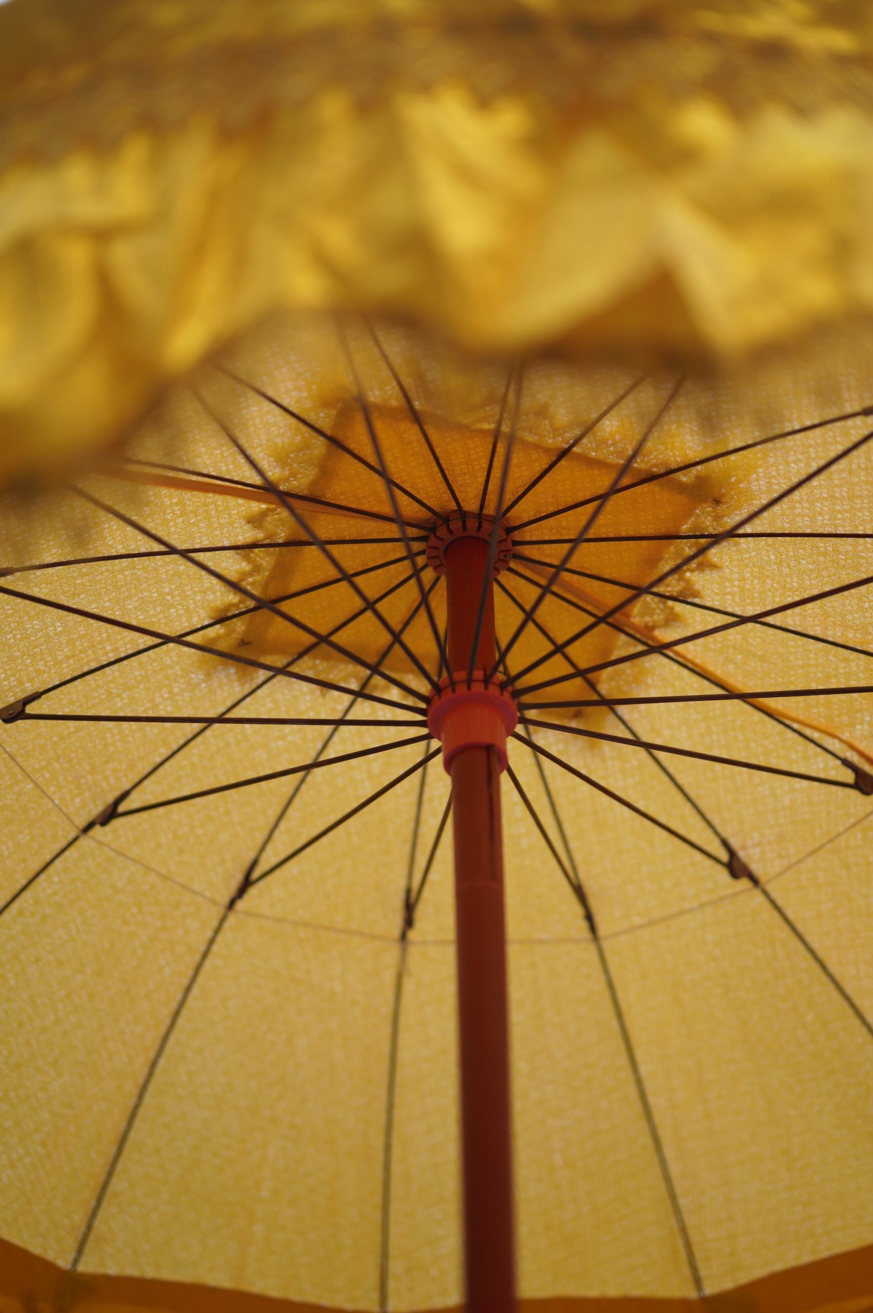 งานแต่งงาน A&B